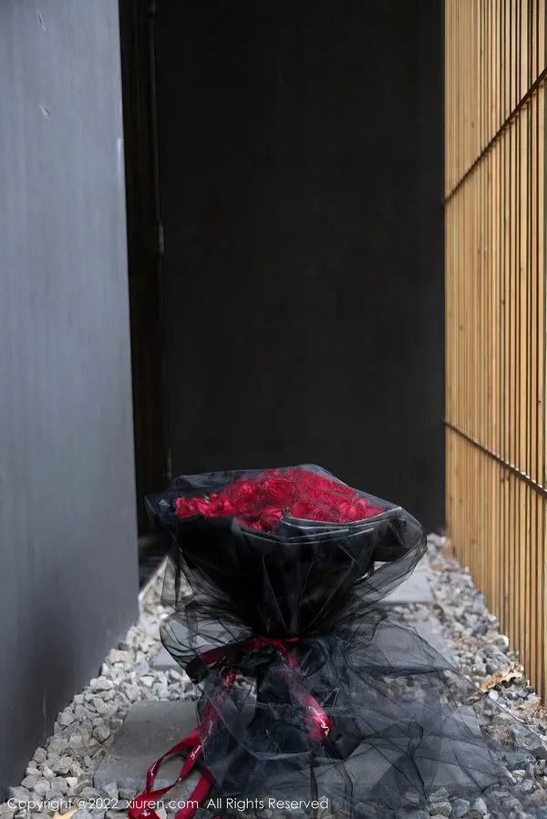 XiuRen秀人网专辑写真